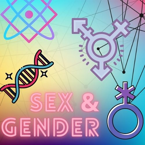 The construction of biological sex and gender identity